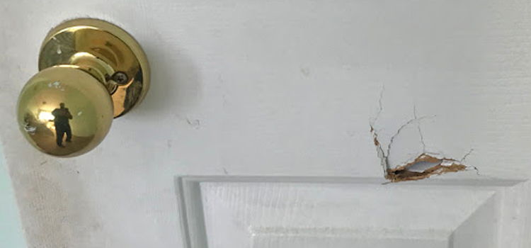 interior door hole repair Bonita