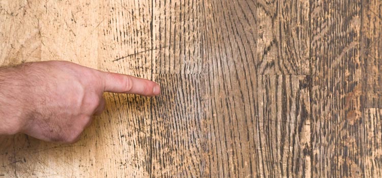 Wood Door Scratch Repair in Bonita